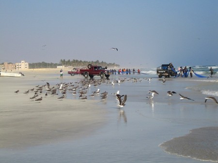 44 Strand von Salalah