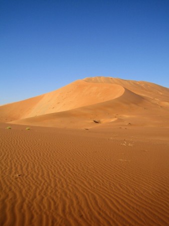 Rub al-Khali (2)